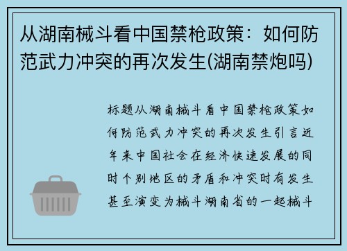 从湖南械斗看中国禁枪政策：如何防范武力冲突的再次发生(湖南禁炮吗)